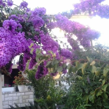 Apartman Branka راب المظهر الخارجي الصورة