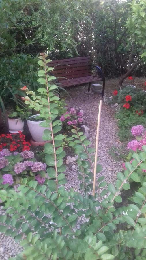 Apartman Branka راب المظهر الخارجي الصورة