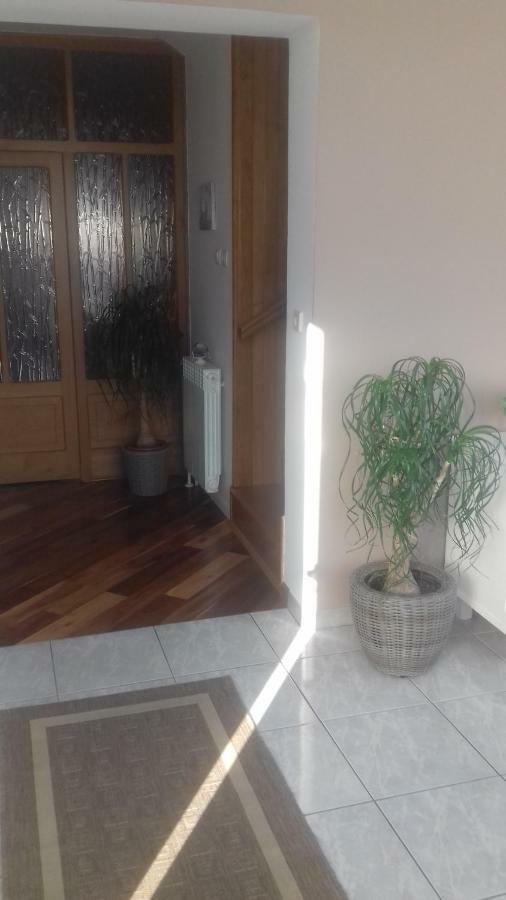 Apartman Branka راب المظهر الخارجي الصورة
